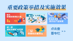 重要政策舉措及實施效果
